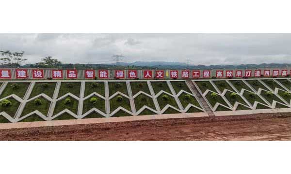 �������������վǰ������Ŀ�ֲ�9